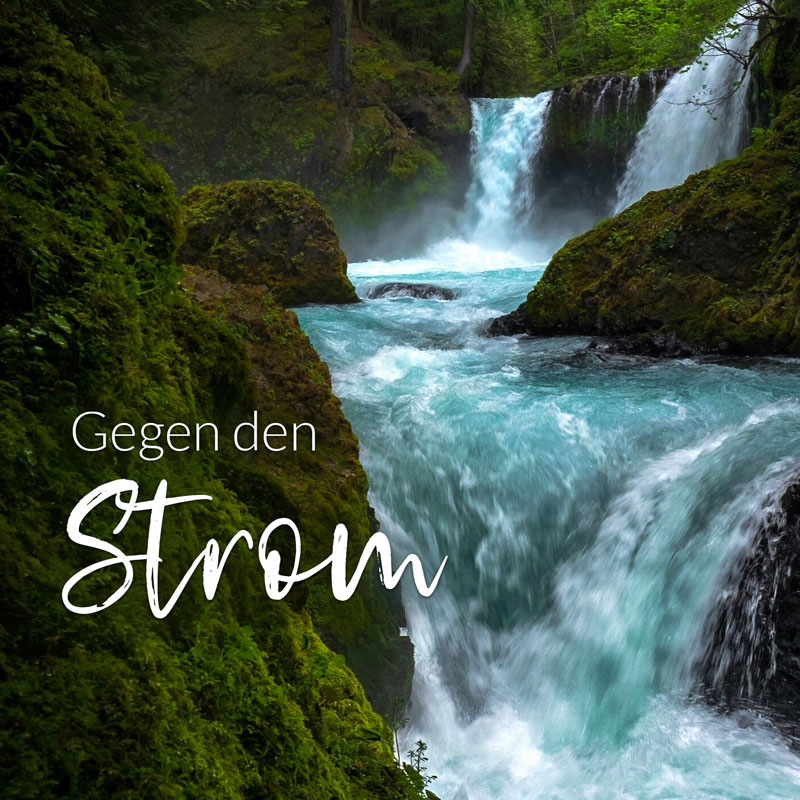 Gegen den Strom - Lao Tse