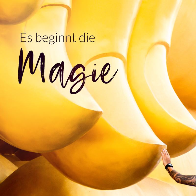 Es beginnt die Magie