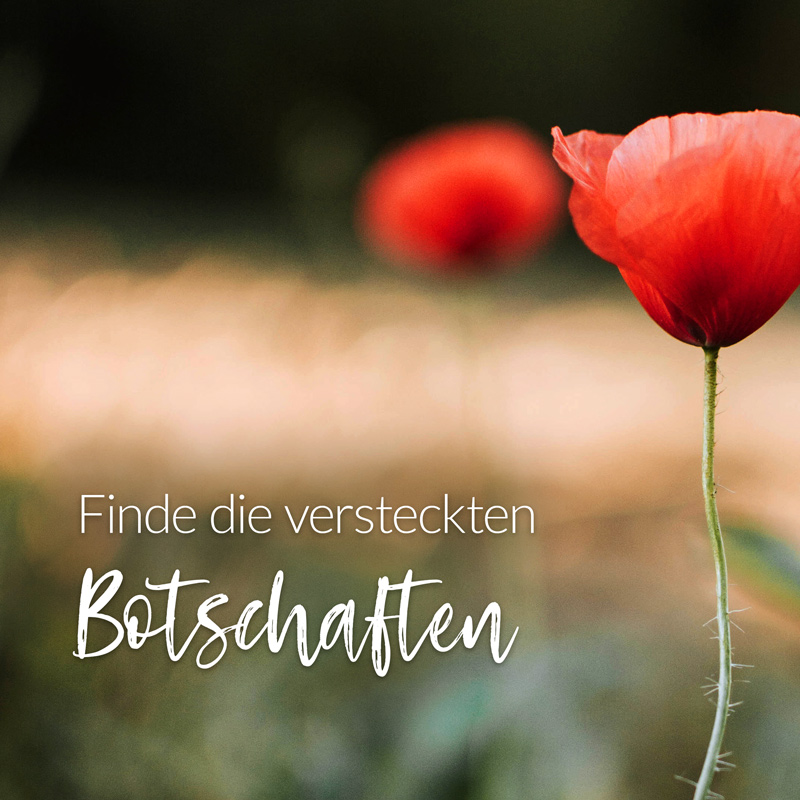 Finde die versteckten Botschaften der Schönheit und Wahrheit