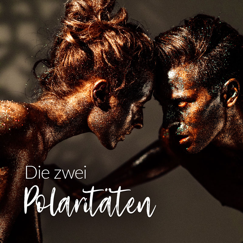 Die zwei Polaritäten