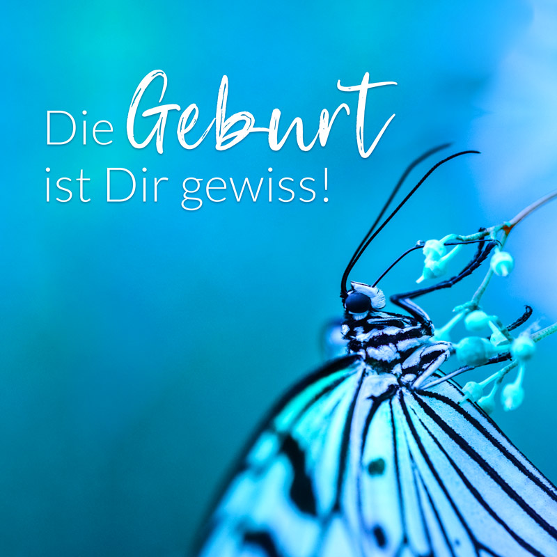 Die Geburt ist dir gewiss