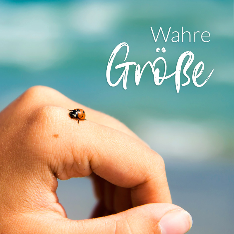 Wahre Größe