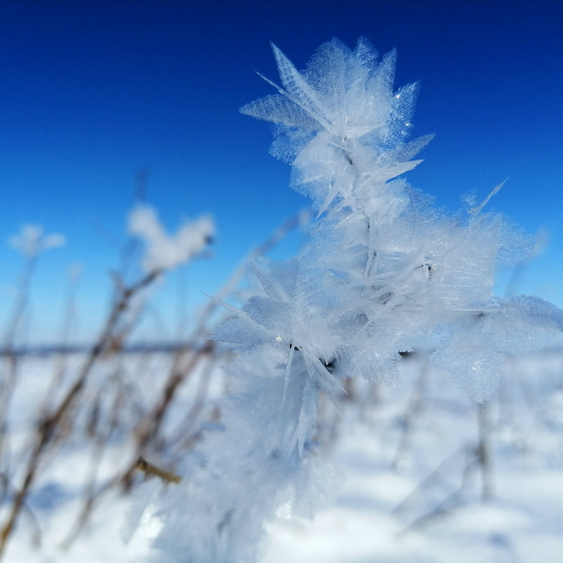  Ein winterlich zauberhafter Gruß