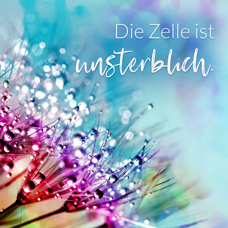 Die Zelle ist unsterblich