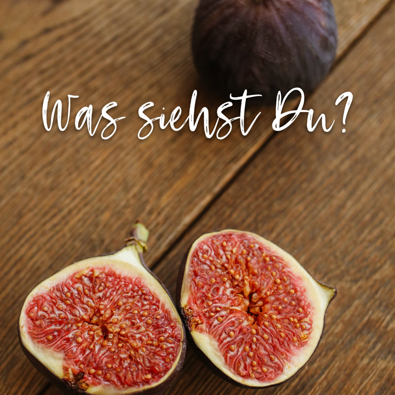 Was ist Veda?