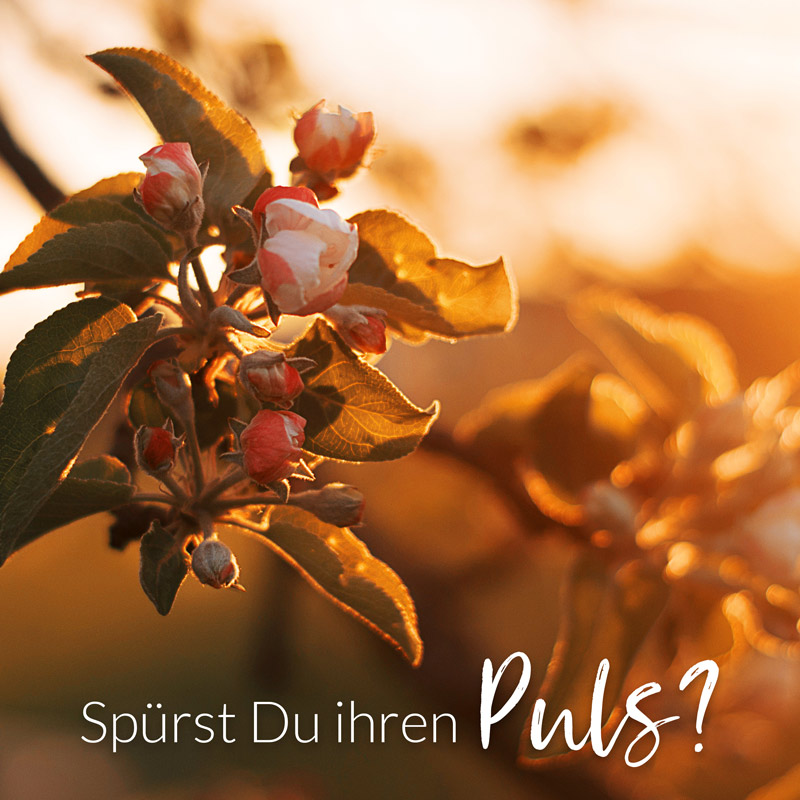 Spürst Du Ihren Puls